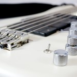 Shuker Jazz Bass - Controls Pickups