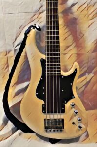 Bass Guitar - On Learning and Practice A measured approach